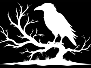white raven perched on a tree branch velvet raven books symbol